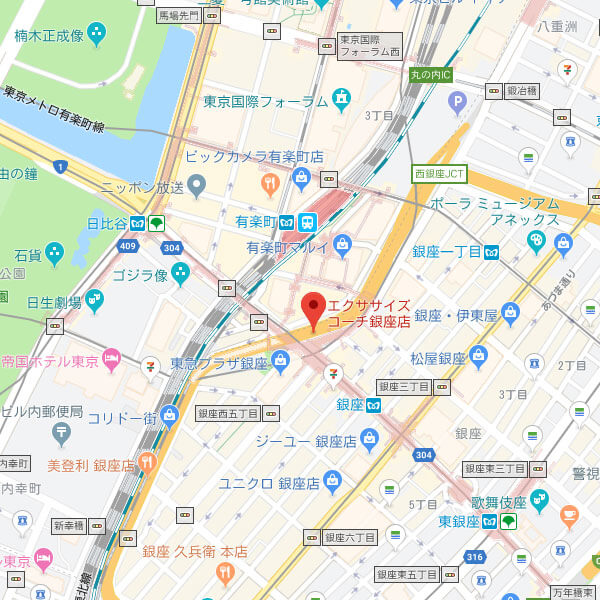 The Exercise Coach銀座店の地図